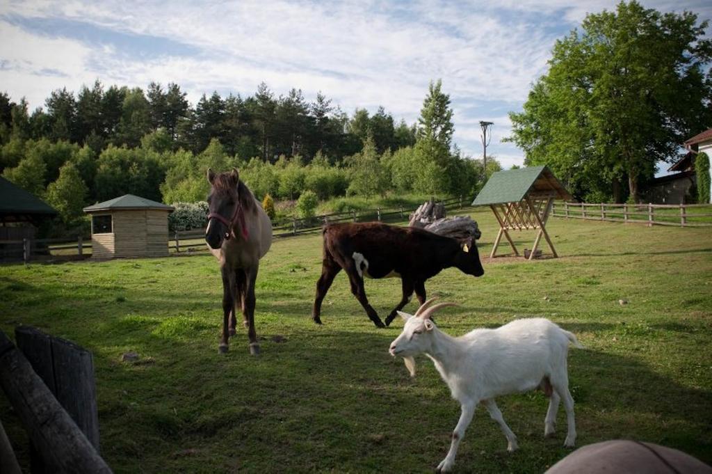 Zielone Wzgorza Villa Bytow  Bagian luar foto